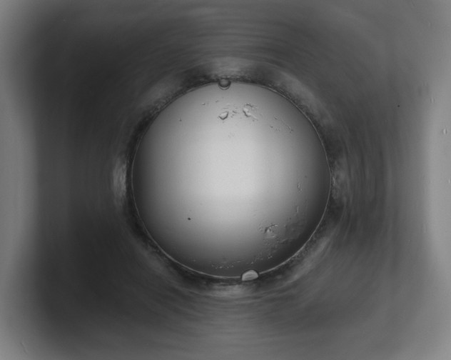 X0000101700454200807171518