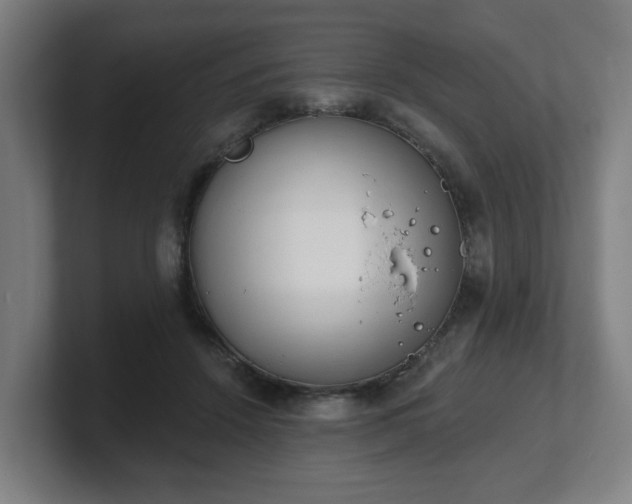 X0000101700456200807171518