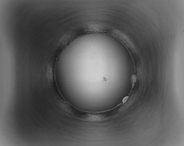 X0000101700457200807171518