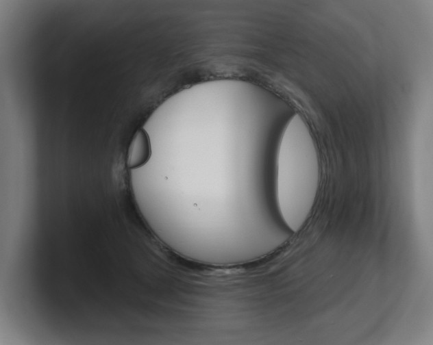 X0000101700465200807171518