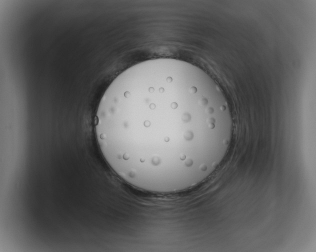 X0000101700466200807171518