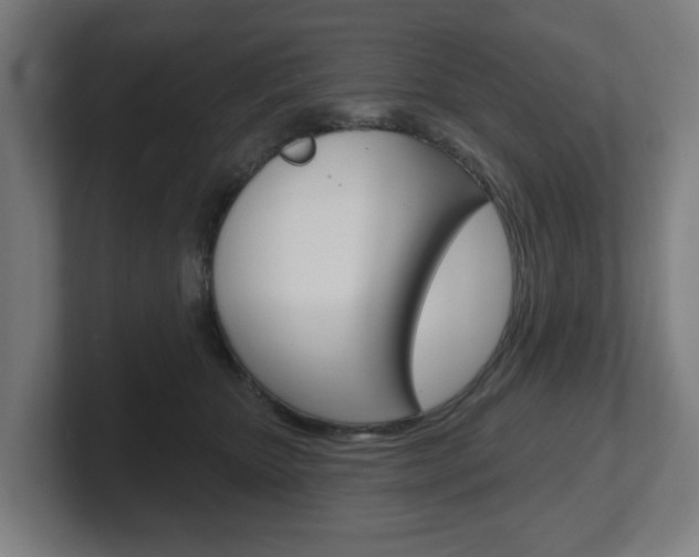 X0000101700467200807171518