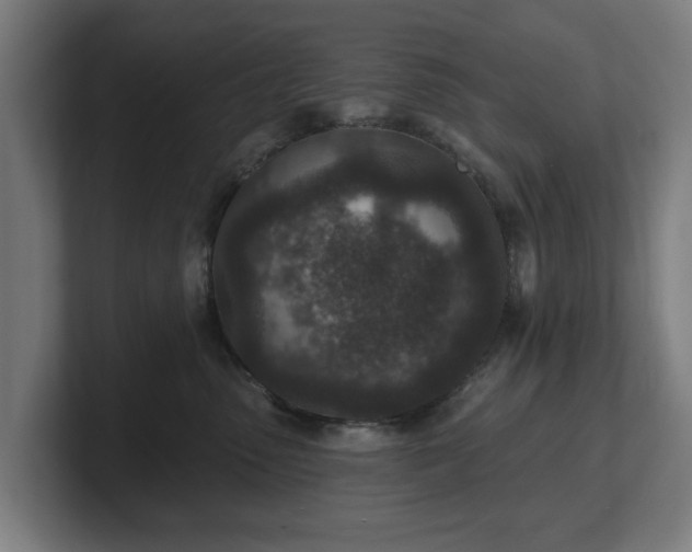 X0000101700475200807171518