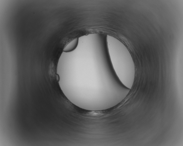 X0000101700477200807171518