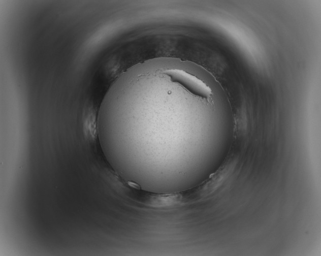 X0000101700479200807171518