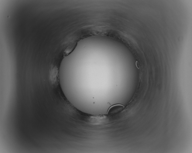 X0000101700480200807171518