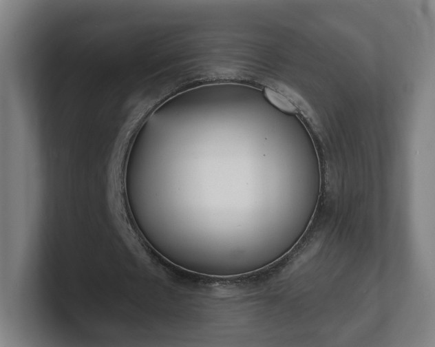 X0000101700481200807171518