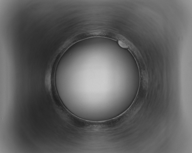 X0000101700482200807171518