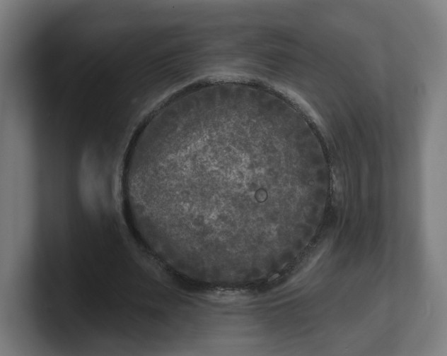 X0000101700487200807171518