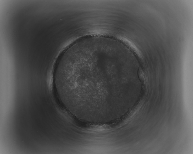 X0000101700488200807171518