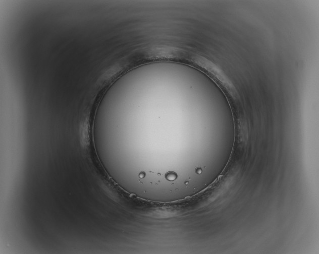 X0000101700489200807171518