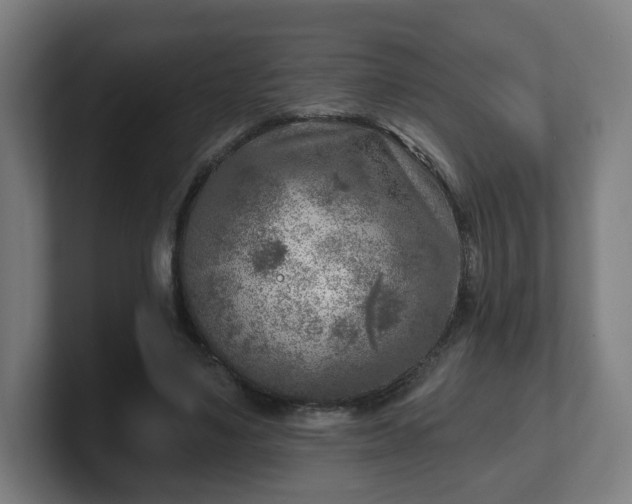 X0000101700491200807171518