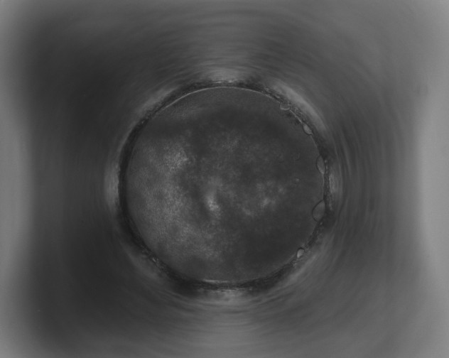 X0000101700492200807171518