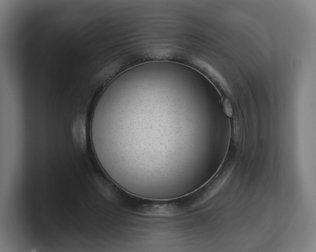 X0000101700493200807171518