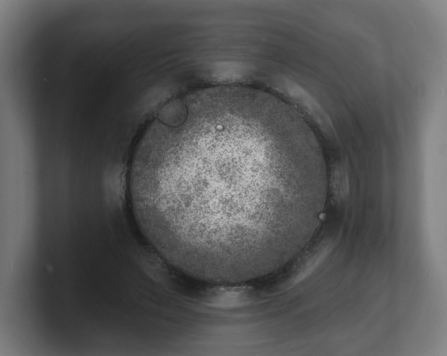 X0000101700495200807171518