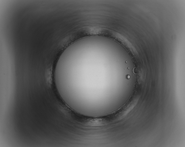 X0000101700497200807171517