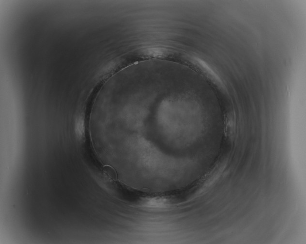 X0000101700500200807171517