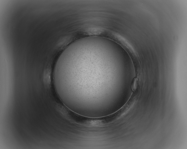 X0000101700501200807171517