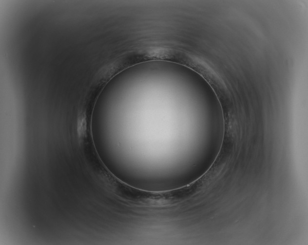 X0000101700502200807171517