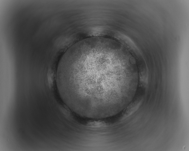 X0000101700503200807171517