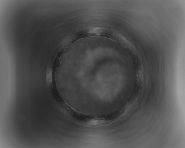 X0000101700504200807171517