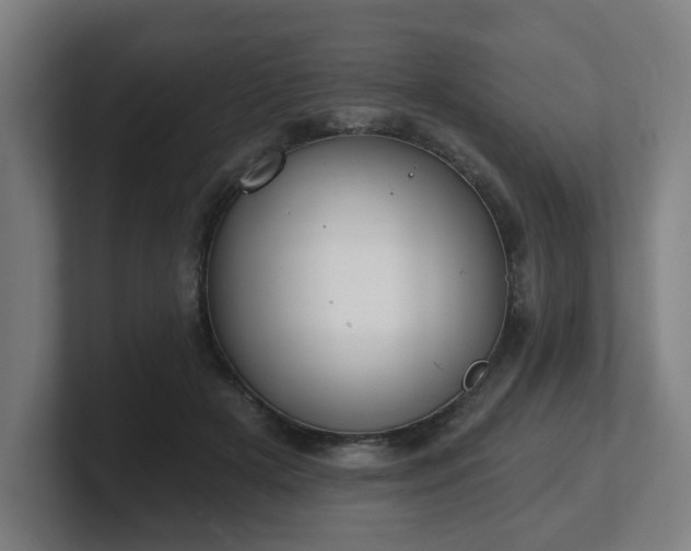 X0000101700505200807171517