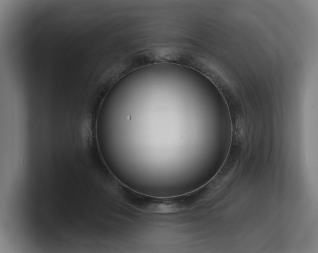 X0000101700506200807171517