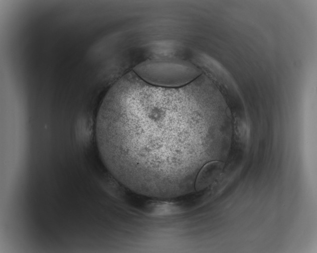 X0000101700507200807171517