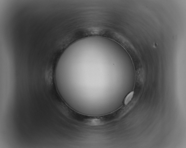 X0000101700509200807171517