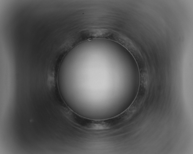 X0000101700510200807171517