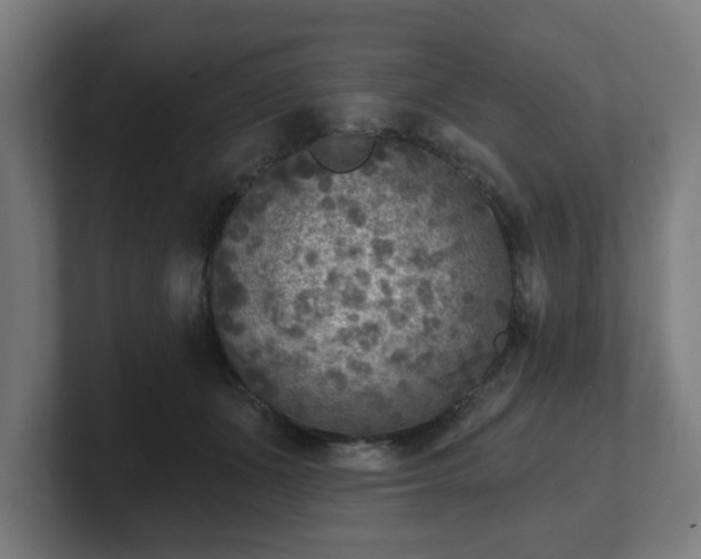 X0000101700511200807171517