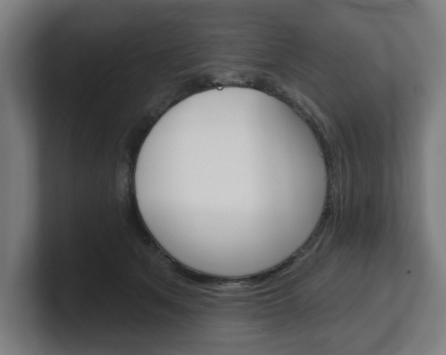 X0000101700513200807171517