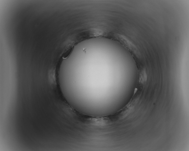 X0000101700524200807171517