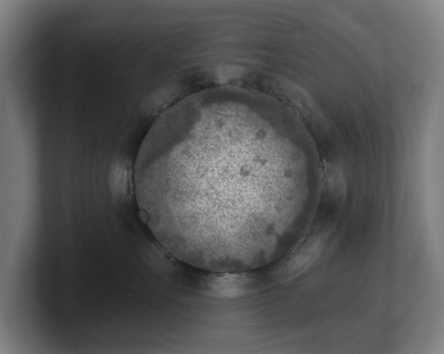 X0000101700527200807171517