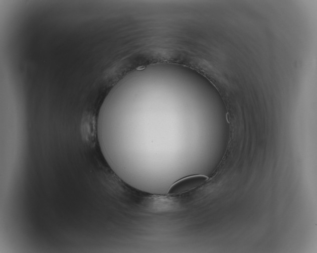 X0000101700528200807171517