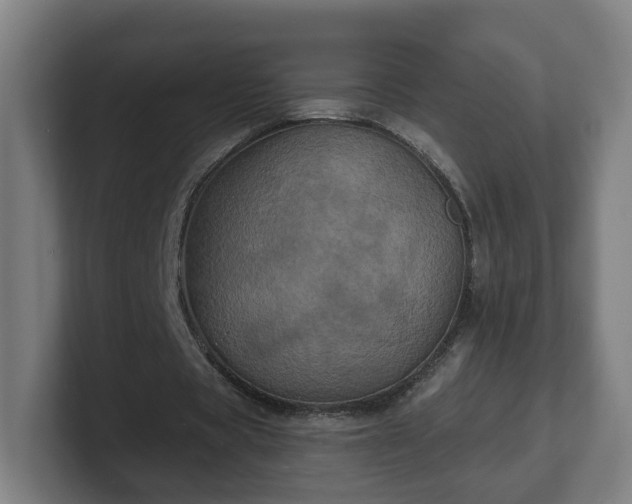 X0000101700529200807171516