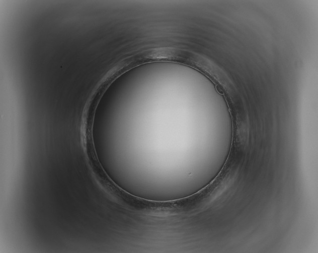 X0000101700530200807171516