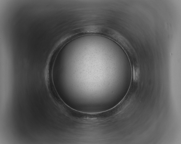 X0000101700531200807171516