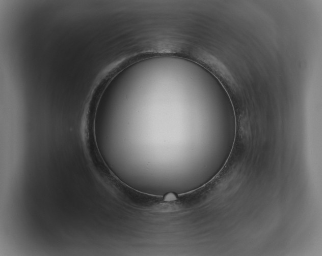 X0000101700536200807171517