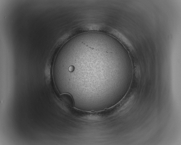 X0000101700537200807171517