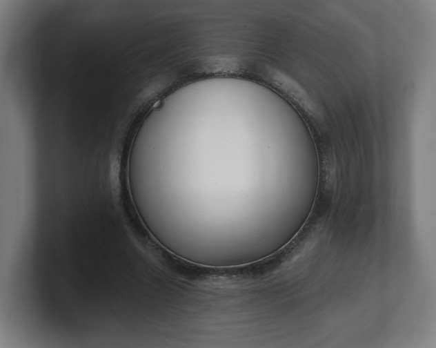 X0000101700538200807171517