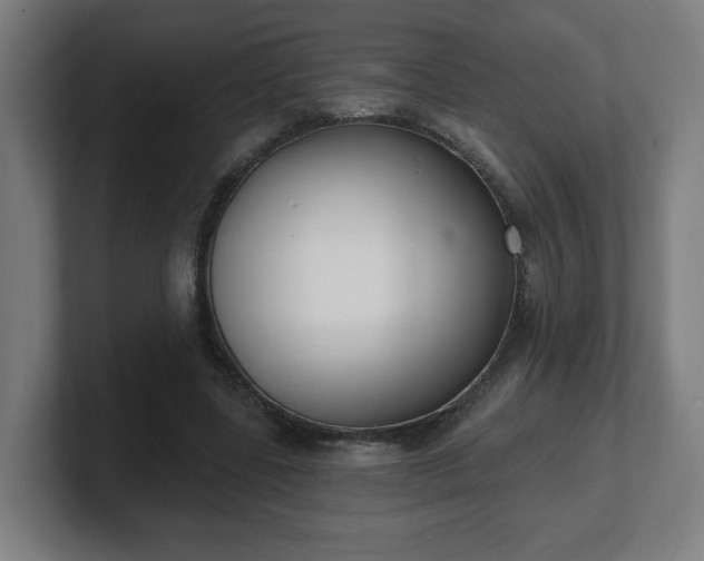 X0000101700539200807171517