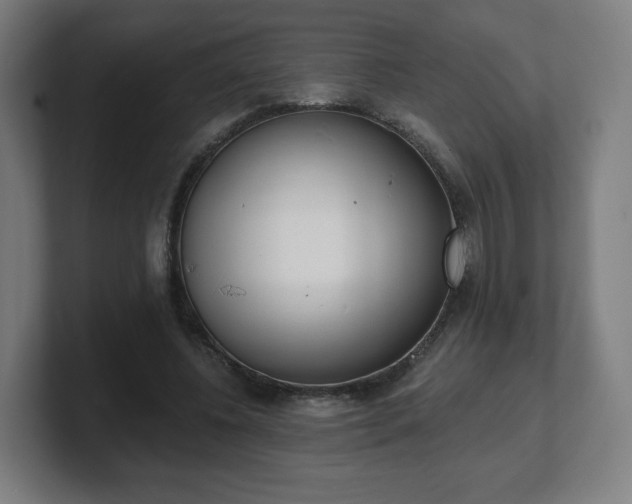 X0000101700540200807171517