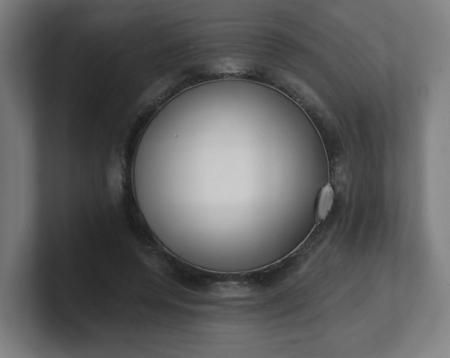 X0000101700544200807171517