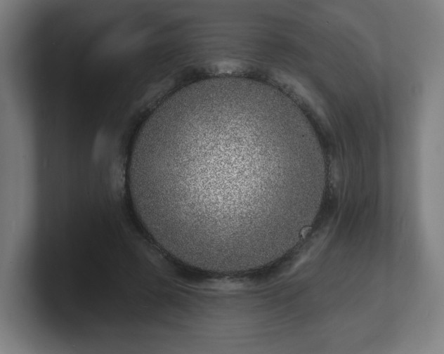 X0000101700545200807171517