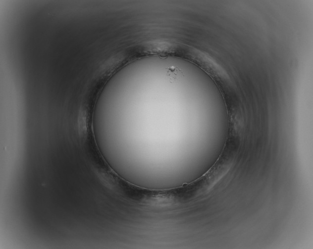 X0000101700546200807171517