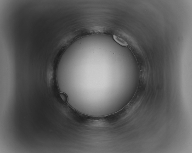 X0000101700548200807171517