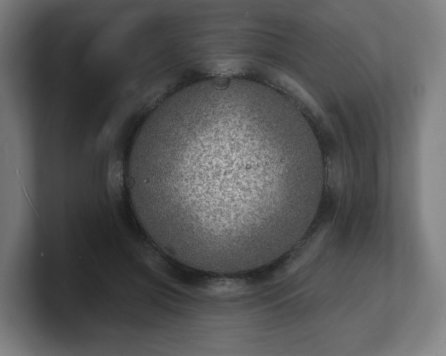 X0000101700549200807171517