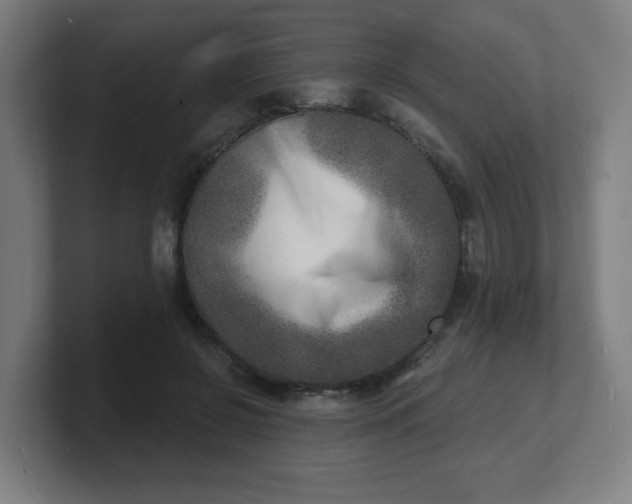 X0000101700550200807171517