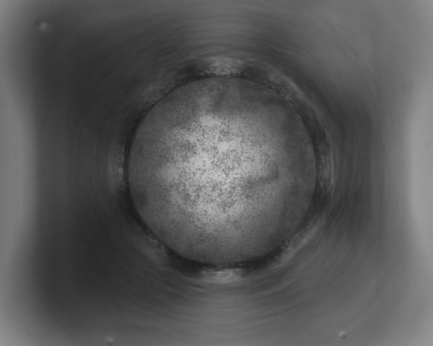 X0000101700553200807171517